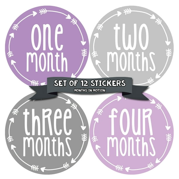 Baby Month Milestone Stickers  Purple Arrows